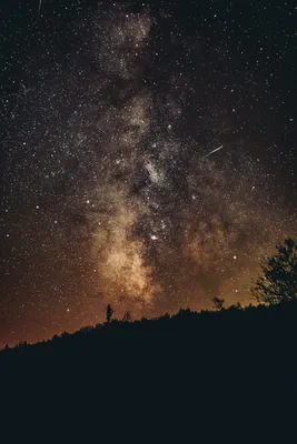 Звездное небо, небо, ночь, ночное небо, звезды, лес, луна, закат,туман,  деревня, атмосфера, эстетика, обои на телефон… | Photo and video, Instagram  photo, Instagram