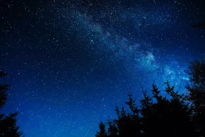 Как красиво сфотографировать звёздное небо на телефон | Фотосклад.Эксперт |  Дзен