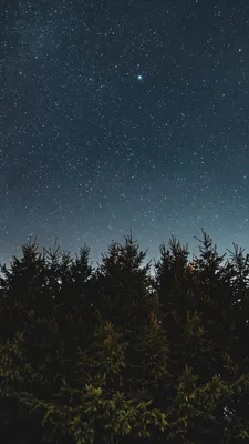 Небо, Звёзды, Пейзаж, Ночь, Фон, Вечер, Звёздное небо (2560x1440) - обои  для рабочего стола