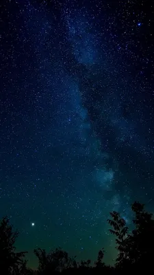 Скачать 938x1668 звездное небо, ночь, звезды, деревья, ночное небо обои,  картинки iphone 8/7/6s/6 for parallax