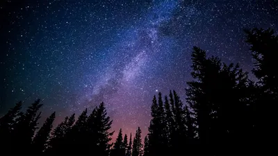 Звёздное небо реальное фото» — создано в Шедевруме