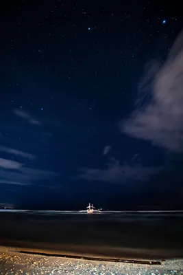 Хорошая морская звезда на пляже с копией пространства | Премиум Фото